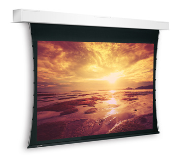 PROJECTA Screen Surface Assembly Descender Large Electrol  248x440 Matte White_without Border
