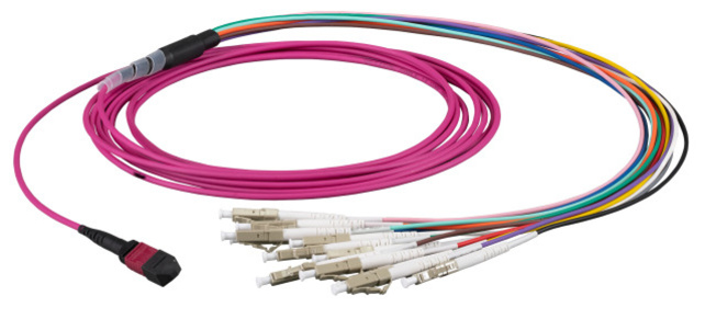EFB MTP®-F/LC 12-fiber patch cable OM4, LSZH  erica-violet, 1m
