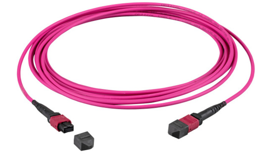 EFB MTP®-F/MTP®-F 12-fiber matrix patch cable OM4, LSZH erica-violet, Code B, 10