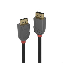 LINDY 0.5m DisplayPort 1.4 Cable, Anthra Line