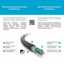 PURELINK DisplayPort to DVI Cable - PureInstall - 3,00m
