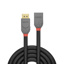 LINDY 1m DisplayPort 1.4  Extension Cable, Anthra Line